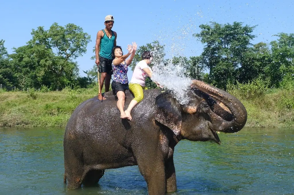 Chitwan national park is attractive park of Nepal