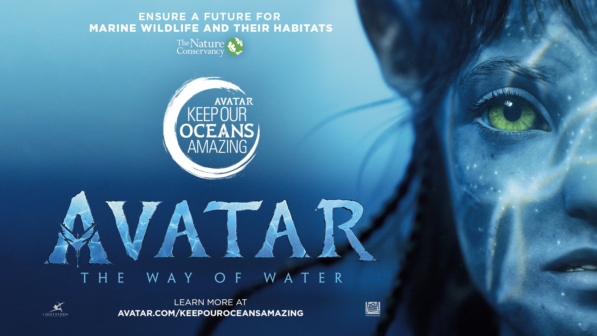 A massive overhaul of Disney's film releases, with the last series of 'Avatar' in 2031 2