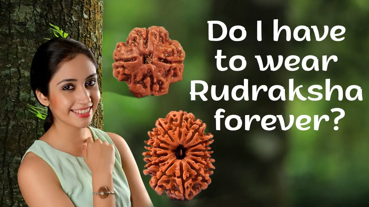 The benefits of Rudraksha are not only religious but scientific as well 5