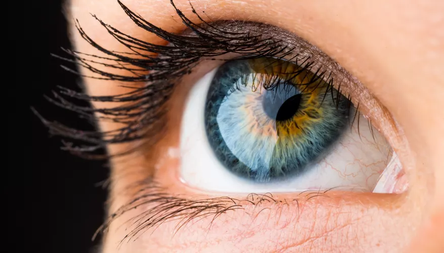 Human eyes fool our minds, according to a study. 4