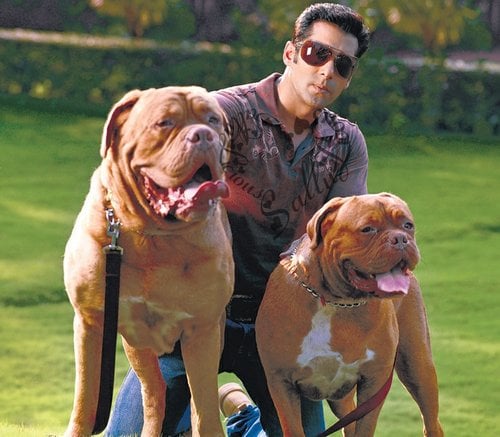 Bollywood Celebrities Who Own Expensive Pets 7