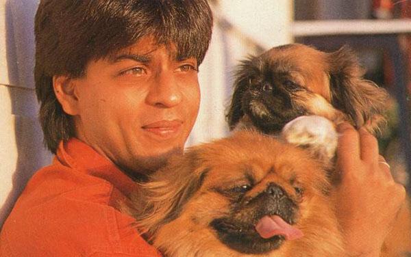 Bollywood Celebrities Who Own Expensive Pets 6