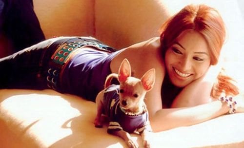 Bollywood Celebrities Who Own Expensive Pets 4