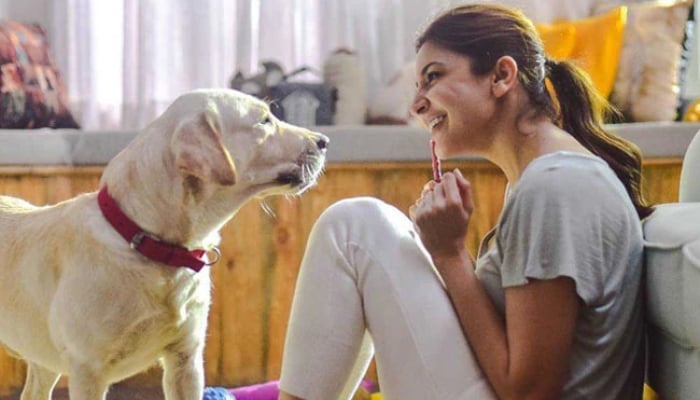 Bollywood Celebrities Who Own Expensive Pets 11