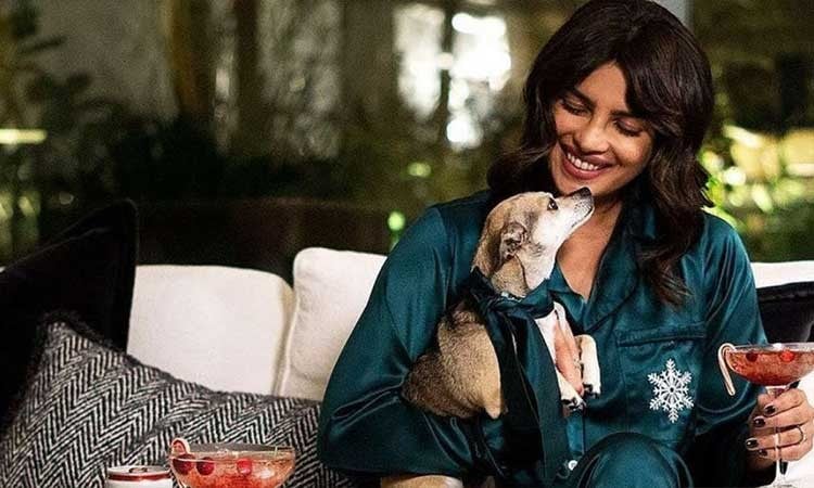 Bollywood Celebrities Who Own Expensive Pets 10